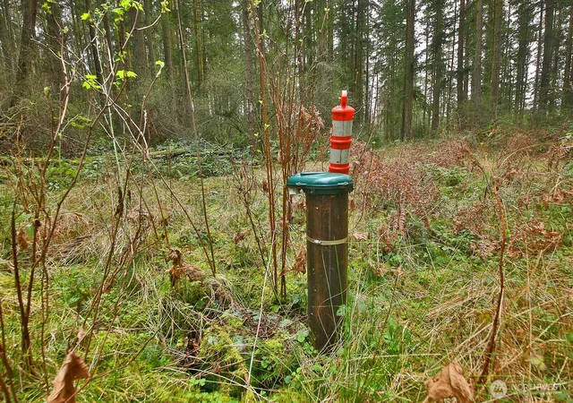 Photo 3 of Land for sale at 0 Xxx Mutiny Bay Rd, Freeland, WA 98249 | MLS# NWM2493613 | Listing updated on 2026-09-17
