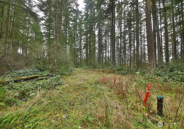 Photo 3 of Land for sale at 0 Xxx Mutiny Bay Rd, Freeland, WA 98249 | MLS# NWM2493613 | Listing updated on 2026-09-17