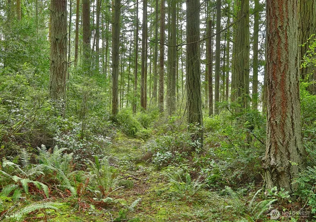 Photo 4 of Land for sale at 0 Xxx Mutiny Bay Rd, Freeland, WA 98249 | MLS# NWM2493613 | Listing updated on 2026-09-17