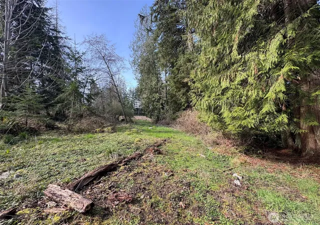 Photo 1 of Land for sale at 2211 Lindberg Rd, Port Angeles, WA 98362 | MLS# NWM2494084 | Listing updated on 2026-09-17