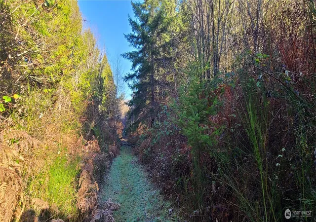 Photo 2 of Land for sale at 0 Cornwall Rd Nw, Lakebay, WA 98349 | MLS# NWM2494351 | Listing updated on 2026-09-17