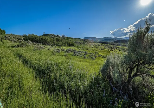 Photo 4 of Land for sale at 0 Nka Ellemeham Mountain Rd, Oroville, WA 98844 | MLS# NWM2494732 | Listing updated on 2026-09-17