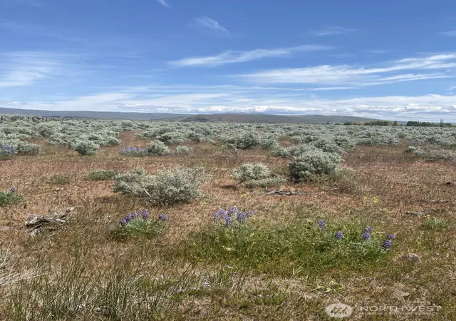 Photo 3 of Land for sale at 3 A Lester Rd, Ellensburg, WA 98926 | MLS# NWM2494790 | Listing updated on 2026-09-22