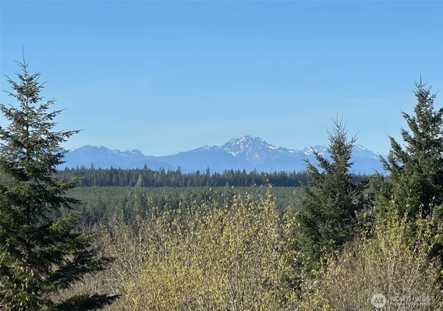 Photo 2 of Land for sale at 0 E Tr 1&2 Agate Rd, Shelton, WA 98584 | MLS# NWM2494855 | Listing updated on 2026-09-17