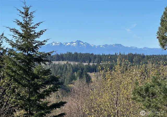 Photo 3 of Land for sale at 0 E Tr 1&2 Agate Rd, Shelton, WA 98584 | MLS# NWM2494855 | Listing updated on 2026-09-17