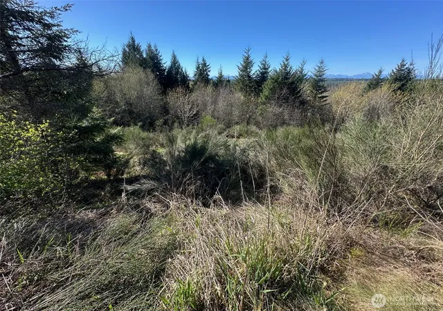 Photo 3 of Land for sale at 0 E Tr 1&2 Agate Rd, Shelton, WA 98584 | MLS# NWM2494855 | Listing updated on 2026-09-17