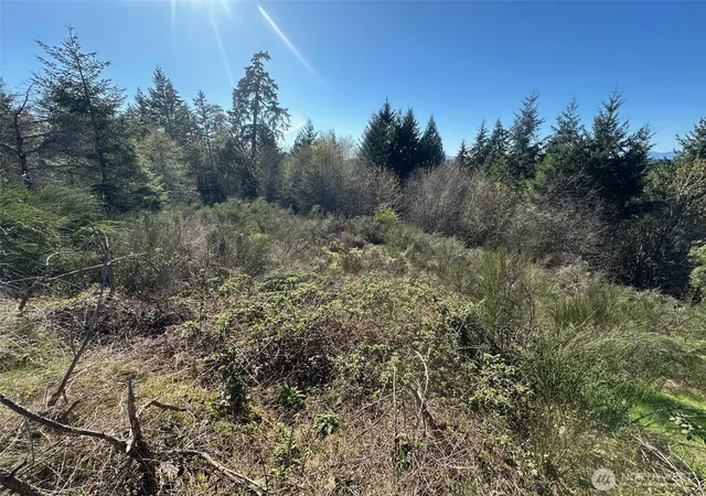 Photo 4 of Land for sale at 0 E Tr 1&2 Agate Rd, Shelton, WA 98584 | MLS# NWM2494855 | Listing updated on 2026-09-17