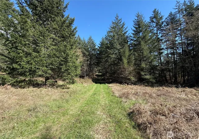 Photo 4 of Land for sale at 1111 Sandwith Rd, Friday Harbor, WA 98250 | MLS# NWM2495090 | Listing updated on 2026-09-17