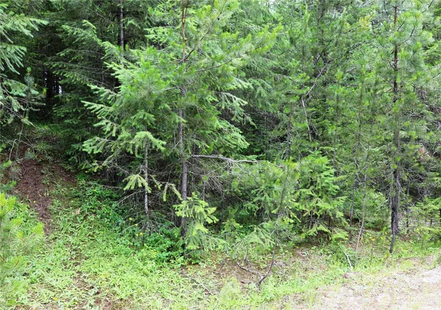 Photo 3 of Land for sale at 0 Lot 8b Diamond Dr, Newport, WA 99156 | MLS# NWM2495111 | Listing updated on 2026-09-17