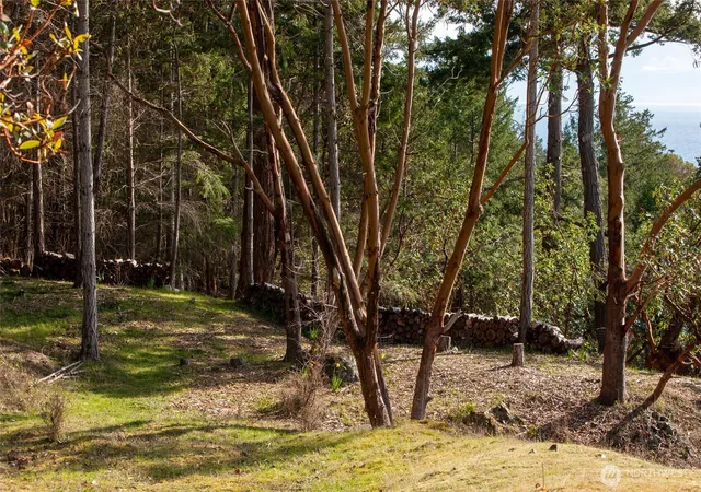 Photo 4 of Land for sale at 7 Spinnaker Ln, Friday Harbor, WA 98250 | MLS# NWM2495125 | Listing updated on 2026-09-17
