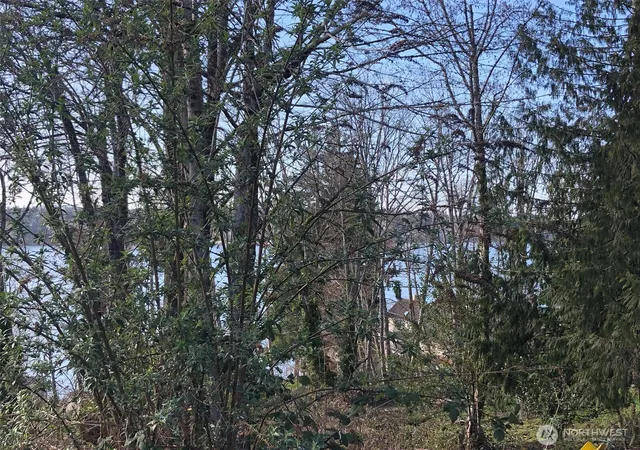 Photo 4 of Land for sale at 1919 Berry St NE, Olympia, WA 98506 | MLS# NWM2495277 | Listing updated on 2026-09-17