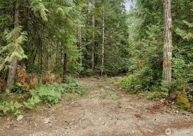 Photo 3 of Land for sale at 1171 W Camp Sundown Rd, Bremerton, WA 98312 | MLS# NWM2495320 | Listing updated on 2026-09-21