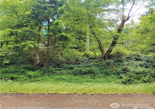 Photo 1 of Land for sale at 11909 11911 Country Clb Dr, Anderson Island, WA 98303 | MLS# NWM2495510 | Listing updated on 2026-09-17