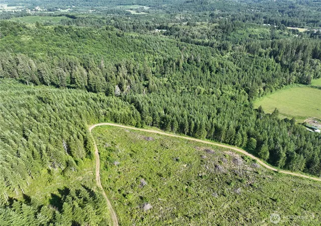 Photo 3 of Land for sale at 0 NE 206th Avenue, Amboy, WA 98601 | MLS# NWM2495527 | Listing updated on 2026-09-17