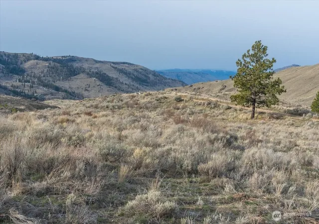 Photo 3 of Land for sale at 13 Honeygold Dr, Orondo, WA 98843 | MLS# NWM2495549 | Listing updated on 2026-09-17