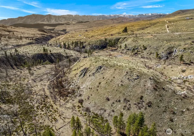 Photo 4 of Land for sale at 576 Indian Dan Cyn, Brewster, WA 98812 | MLS# NWM2496010 | Listing updated on 2026-09-17
