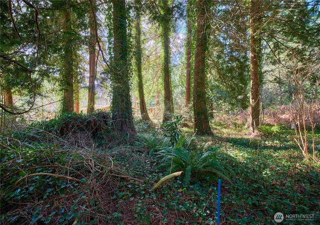 Photo 3 of Land for sale at 16 Burns Way, Point Roberts, WA 98281 | MLS# NWM2496042 | Listing updated on 2026-09-17