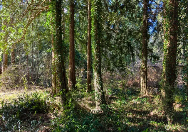 Photo 3 of Land for sale at 16 Burns Way, Point Roberts, WA 98281 | MLS# NWM2496042 | Listing updated on 2026-09-17