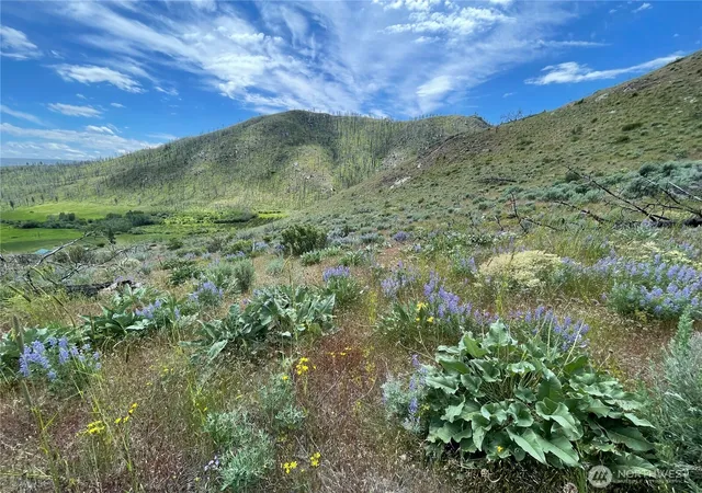 Photo 2 of Land for sale at 436 Antoine Crk Rd #Lot I, Chelan, WA 98816 | MLS# NWM2496500 | Listing updated on 2026-09-17