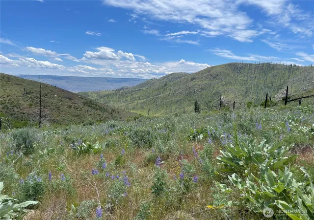 Photo 2 of Land for sale at 436 Antoine Crk Rd #Lot E, Chelan, WA 98816 | MLS# NWM2496512 | Listing updated on 2026-09-17