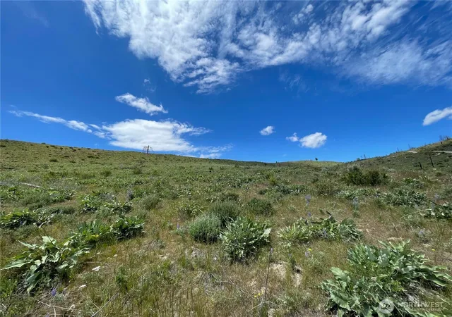 Photo 3 of Land for sale at 436 Antoine Crk Rd #Lot E, Chelan, WA 98816 | MLS# NWM2496512 | Listing updated on 2026-09-17