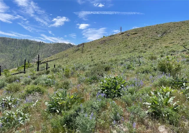 Photo 3 of Land for sale at 436 Antoine Crk Rd #Lot E, Chelan, WA 98816 | MLS# NWM2496512 | Listing updated on 2026-09-17
