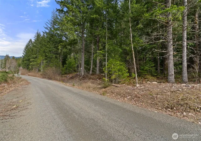 Photo 4 of Land for sale at 134 Grizzly Rd, Packwood, WA 98361 | MLS# NWM2496755 | Listing updated on 2026-09-17