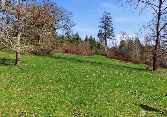 Photo 3 of Land for sale at 0 Xxx Wallace Rd, Chehalis, WA 98532 | MLS# NWM2496844 | Listing updated on 2026-09-22