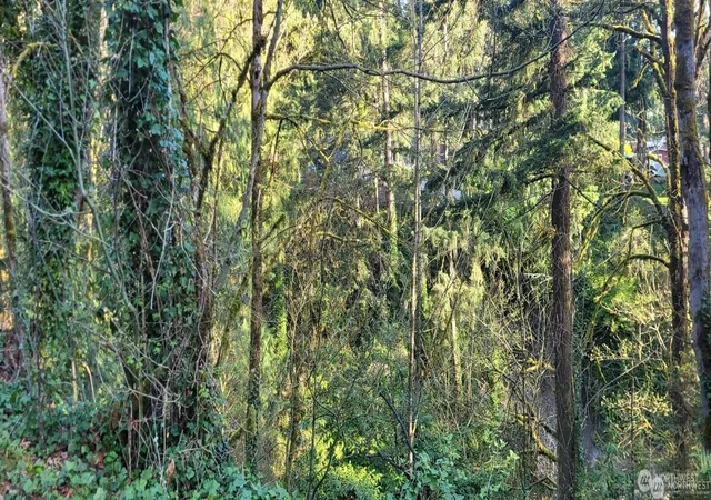 Photo 4 of Land for sale at 1317 Wildwood Blvd SW, Issaquah, WA 98027 | MLS# NWM2496927 | Listing updated on 2026-09-17