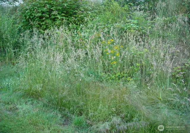 Photo 1 of Land for sale at 613 E 56th Street, Tacoma, WA 98404 | MLS# NWM2497072 | Listing updated on 2026-10-01