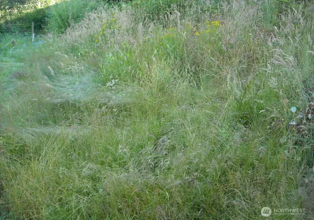 Photo 1 of Land for sale at 514 E 55th Street, Tacoma, WA 98404 | MLS# NWM2497101 | Listing updated on 2026-10-01