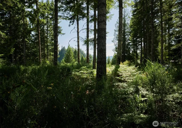 Photo 1 of Land for sale at 0 Phyllis Ann Block Ct, Cougar, WA 98616 | MLS# NWM2497198 | Listing updated on 2026-09-17
