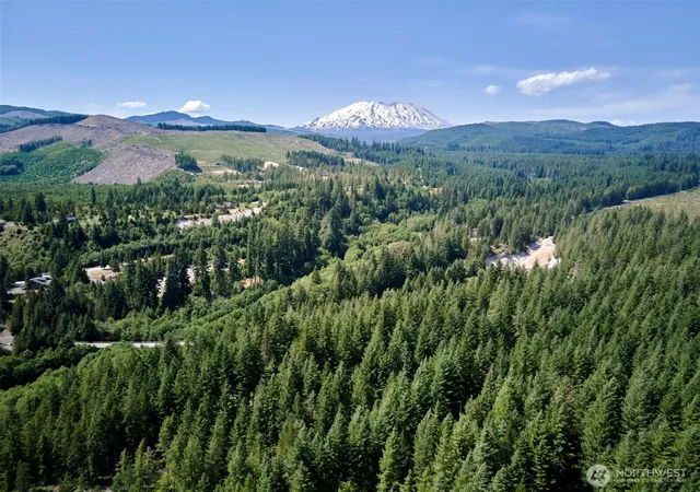 Photo 3 of Land for sale at 0 Phyllis Ann Block Ct, Cougar, WA 98616 | MLS# NWM2497198 | Listing updated on 2026-09-17
