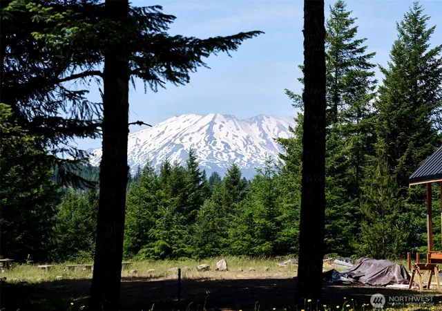 Photo 4 of Land for sale at 0 Phyllis Ann Block Ct, Cougar, WA 98616 | MLS# NWM2497198 | Listing updated on 2026-09-17