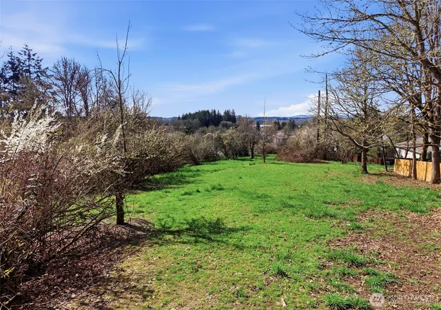 Photo 3 of Land for sale at 0 Xxx Jackson Hwy, Chehalis, WA 98532 | MLS# NWM2497230 | Listing updated on 2026-09-22
