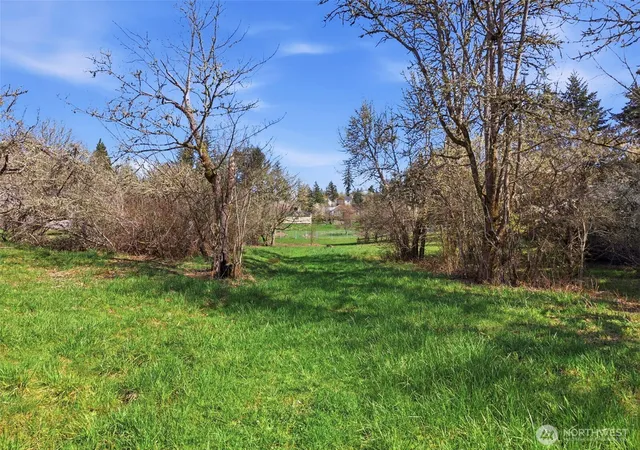 Photo 4 of Land for sale at 0 Xxx Jackson Hwy, Chehalis, WA 98532 | MLS# NWM2497230 | Listing updated on 2026-09-22