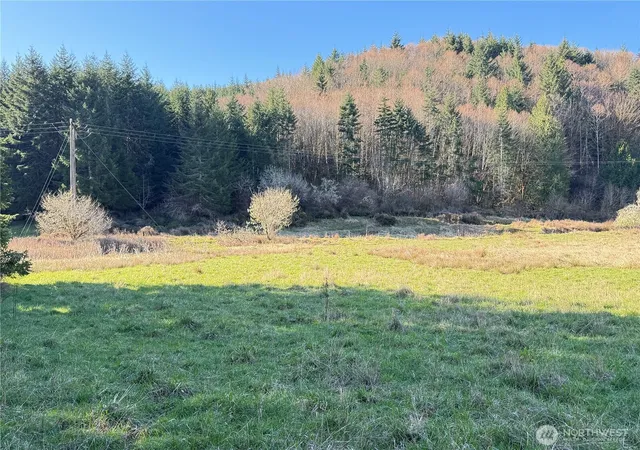 Photo 2 of Land for sale at 0 Xxx Harkum Rd, Chehalis, WA 98532 | MLS# NWM2497268 | Listing updated on 2026-09-17