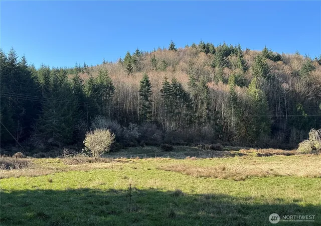 Photo 3 of Land for sale at 0 Xxx Harkum Rd, Chehalis, WA 98532 | MLS# NWM2497268 | Listing updated on 2026-09-17