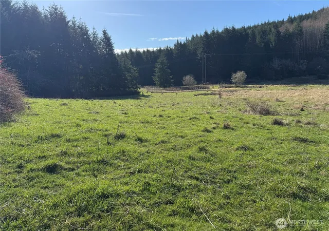 Photo 3 of Land for sale at 0 Xxx Harkum Rd, Chehalis, WA 98532 | MLS# NWM2497268 | Listing updated on 2026-09-17