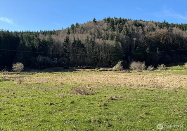 Photo 4 of Land for sale at 0 Xxx Harkum Rd, Chehalis, WA 98532 | MLS# NWM2497268 | Listing updated on 2026-09-17