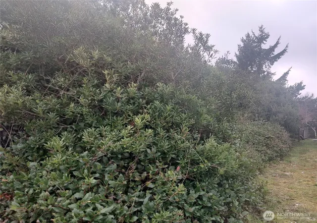 Photo 3 of Land for sale at 601 Ocean Shrs Blvd Sw, Ocean Shores, WA 98569 | MLS# NWM2497272 | Listing updated on 2026-09-17