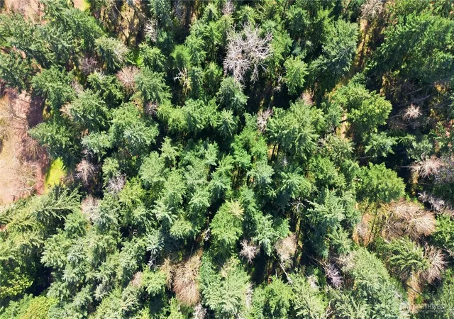 Photo 4 of Land for sale at 0 Clear Lake Rd N, Eatonville, WA 98328 | MLS# NWM2497451 | Listing updated on 2026-09-17
