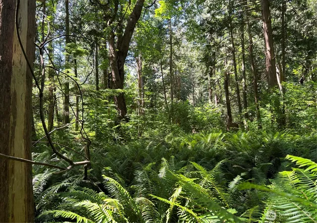 Photo 3 of Land for sale at 6 Acres S Beach Rd, Point Roberts, WA 98281 | MLS# NWM2497532 | Listing updated on 2026-09-17