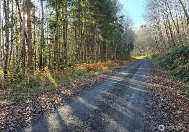 Photo 2 of Land for sale at 0 Nka Fall River Rd, Cosmopolis, WA 98537 | MLS# NWM2497588 | Listing updated on 2026-09-22