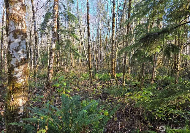 Photo 3 of Land for sale at 0 Nka Fall River Rd, Cosmopolis, WA 98537 | MLS# NWM2497588 | Listing updated on 2026-09-22