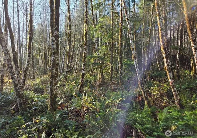 Photo 4 of Land for sale at 0 Nka Fall River Rd, Cosmopolis, WA 98537 | MLS# NWM2497588 | Listing updated on 2026-09-22