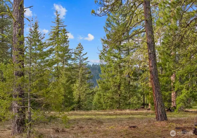 Land for sale at 20 Wanawish Loop, Cle Elum, WA 98922 | MLS# NWM2497809