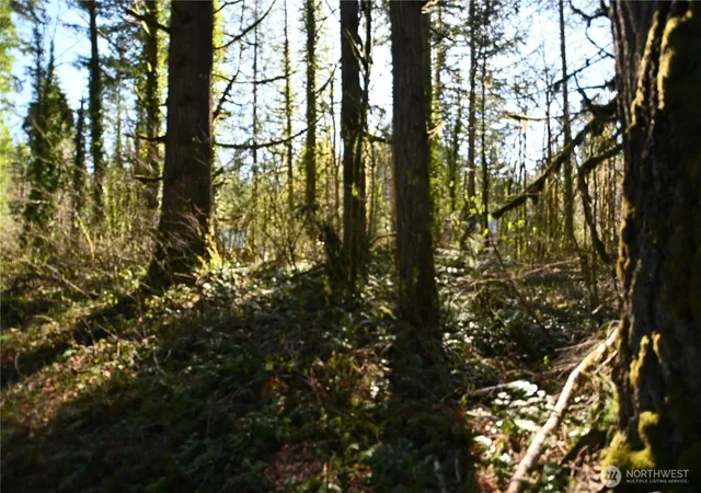 Photo 1 of Land for sale at 0 Old Cascade Hwy, Skykomish, WA 98288 | MLS# NWM2498730 | Listing updated on 2026-09-17