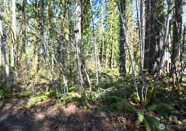 Photo 3 of Land for sale at 0 Old Cascade Hwy, Skykomish, WA 98288 | MLS# NWM2498730 | Listing updated on 2026-09-17