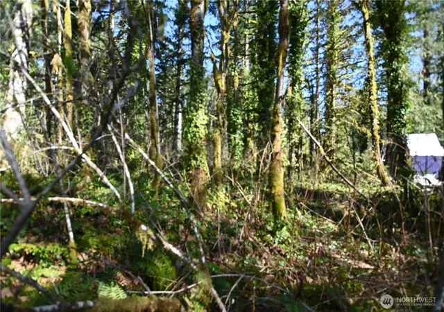 Photo 4 of Land for sale at 0 Old Cascade Hwy, Skykomish, WA 98288 | MLS# NWM2498730 | Listing updated on 2026-09-17